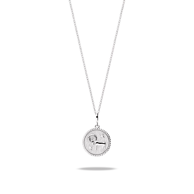 Collar plata primera ley ASTRAL SILVER