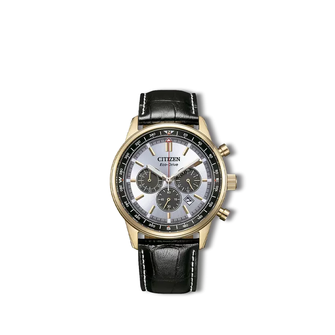 Citizen men's watch
