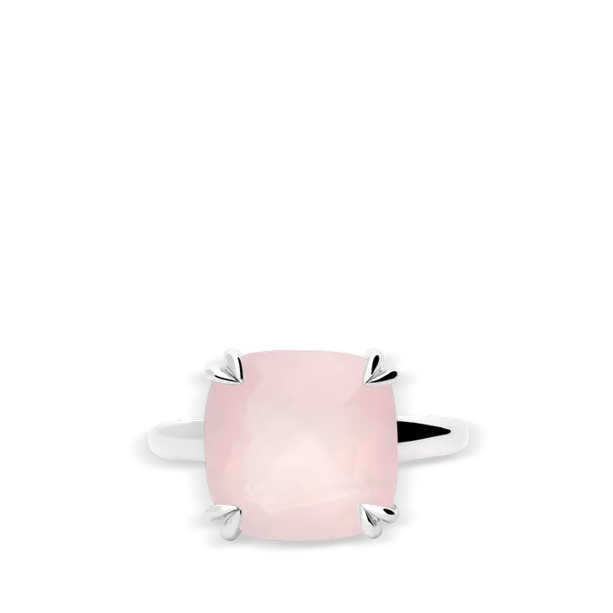 Anillo plata primera ley HOPE