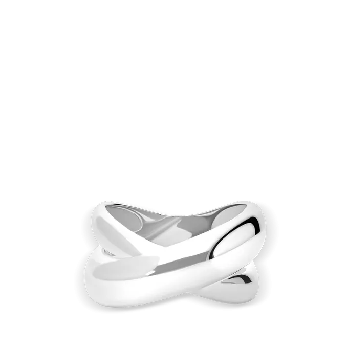 Anillo plata primera ley