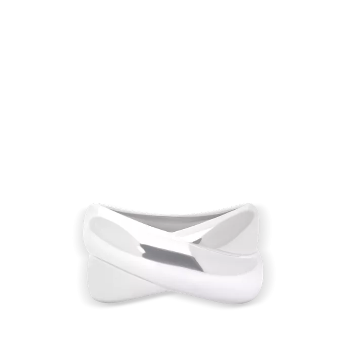 Anillo plata primera ley