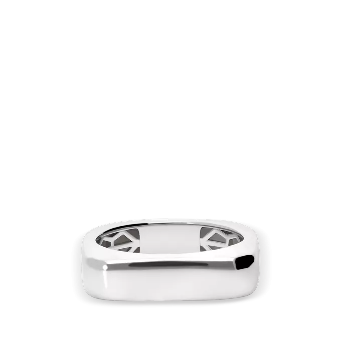 Anillo plata primera ley