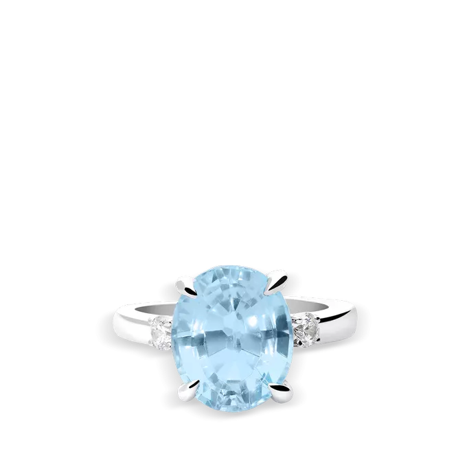 Anillo plata primera ley PRISM