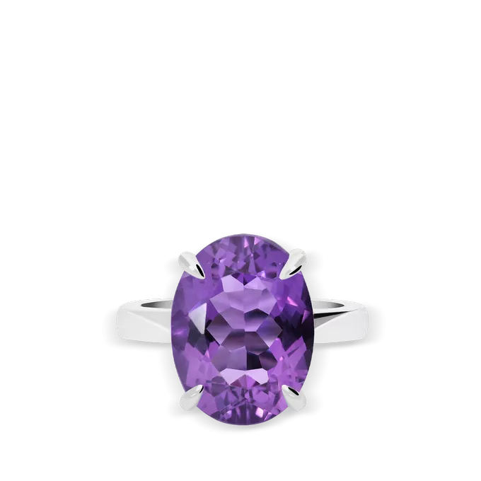 Anillo plata primera ley PRISM