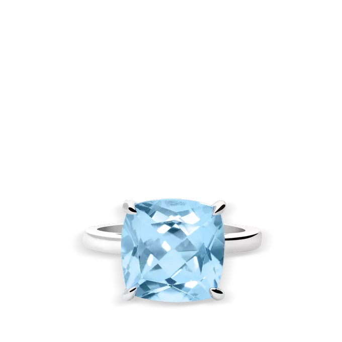 Anillo plata primera ley PRISM