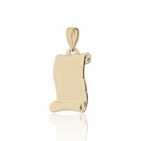 Placa oro 18 quilates