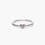 Anillo de plata 1ª ley 