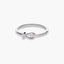 Anillo de plata 1ª ley 