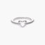 Anillo plata primera ley
