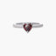 Anillo de plata 1ª ley