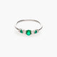 Anillo de plata 1ª ley
