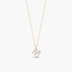 Collar oro 18K circonitas M ABECEDARY