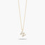 Collar de oro 18K circonitas W ABECEDARY