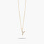 Collar de oro 18K circonitas Y ABECEDARY