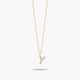 Collar de oro 18K circonitas Y ABECEDARY