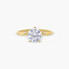 Anillo de oro 18K PLANET