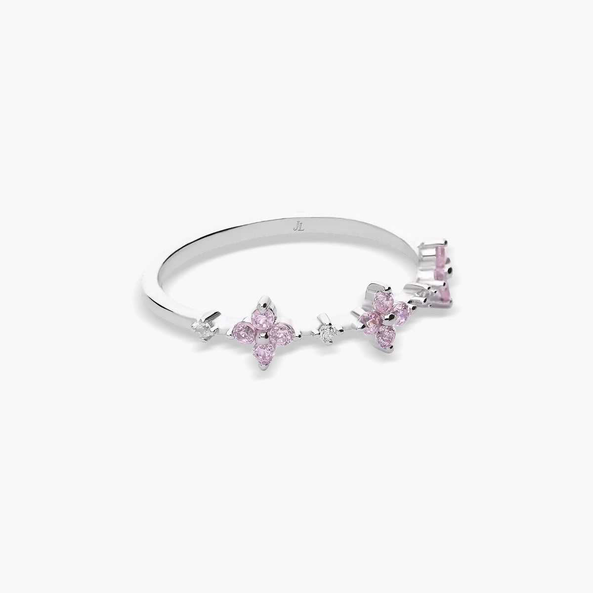 Anillo plata primera ley