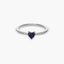 Anillo de plata 1ª ley