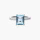 Anillo plata primera ley