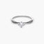 Anillo plata primera ley