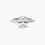 Anillo plata primera ley