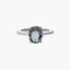 Anillo plata primera ley
