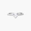 Anillo plata primera ley