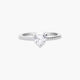 Anillo plata primera ley