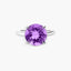 Anillo de plata 1ª ley amatista PRISM