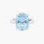 Anillo plata primera ley