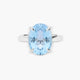 Anillo plata primera ley