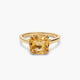 Anillo plata primera ley