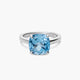Anillo plata primera ley