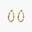 Pendientes de aro rizados de oro 18K 20 mm