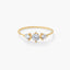 Anillo de oro 18K