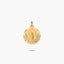 Medalla Virgen de Pilar de oro 18K 18 mm