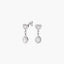 Pendientes largos corazón de plata 1ª ley circonitas 20 mm