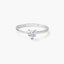 Anillo de oro blanco 18K EMOTION