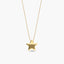 Collar estrella de oro 18K 10 mm