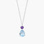 Collar plata primera ley