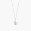 Collar plata primera ley
