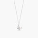 Collar plata primera ley