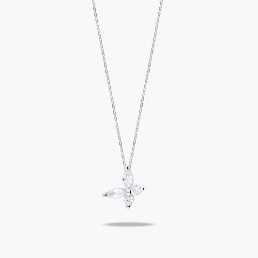 Collar plata primera ley