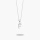 Collar de plata 1ª ley circonitas F SAY MY NAME