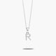 Collar de plata 1ª ley circonitas R SAY MY NAME