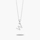 Collar de plata 1ª ley circonitas W SAY MY NAME