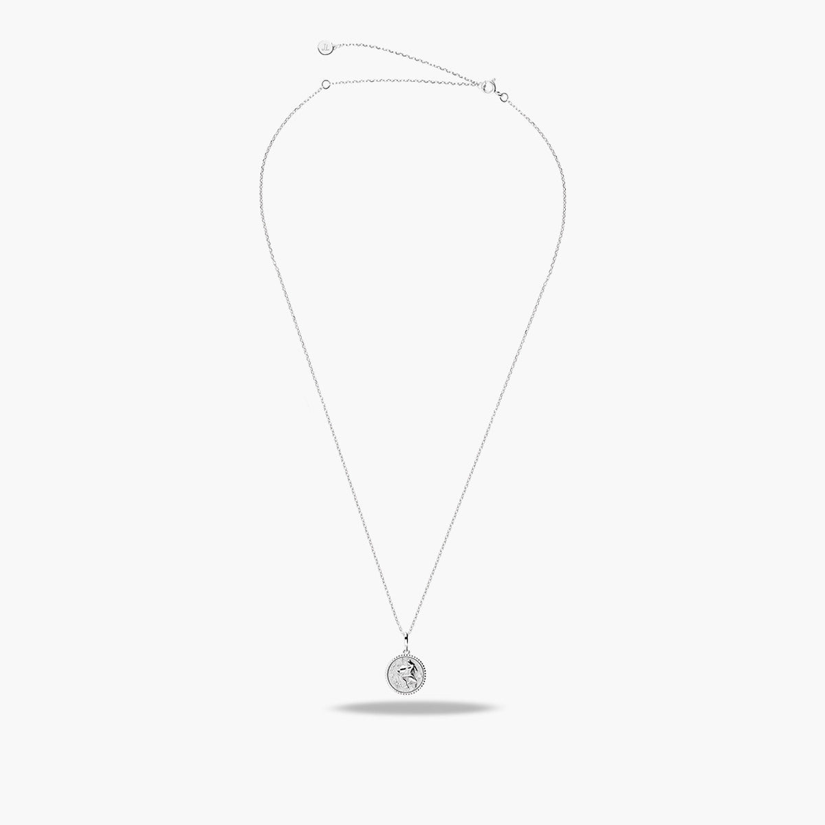 Collar de plata 1ª ley Acuario ASTRAL SILVER