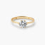 Anillo de oro 18K PLANET