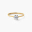 Anillo de oro 18K