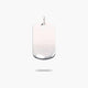 Colgante placa plata 1ª ley 30 mm
